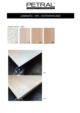 LAMINATO 2014 page copia