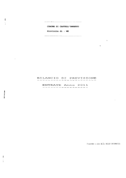 Bilancio preventivo e consuntivo