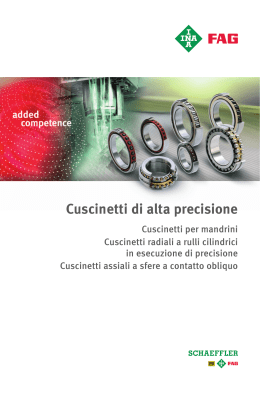 PDF, 9,45 MB - Schaeffler Group