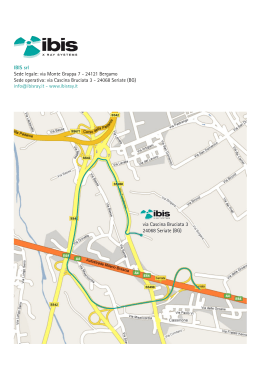 IBIS srl Sede legale: via Monte Grappa 7