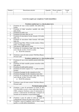 Numero Descrizione articolo Quantit&agrave; Prezzo unitario &euro; Totale