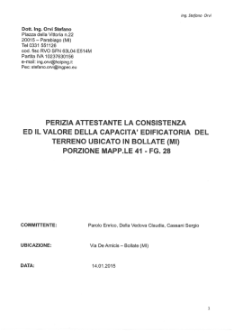 Perizia consistenza edificatoria mapp 41 Fg28