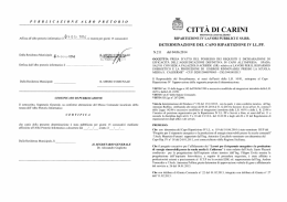 PUBBLICAZIONE ALBO PRETORIO