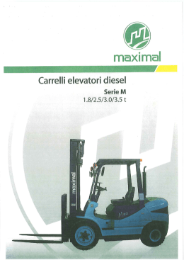 Scarica la scheda dettagliata del carrello FD 25 TMWD3 in PDF