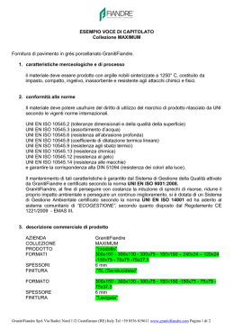 Voce di capitolato Maximum