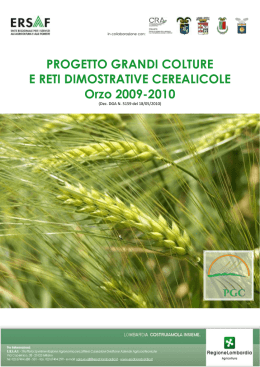 Orzo - 2010