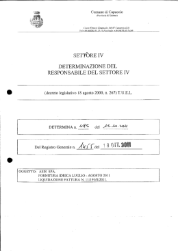 SETTORE IV - Comune di Capaccio