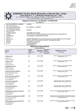 SINERGO Centro Studi Ricerche e Servizi Soc. Coop.