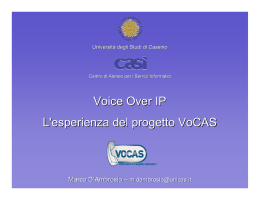 Voice Over IP L`esperienza del progetto VoCAS