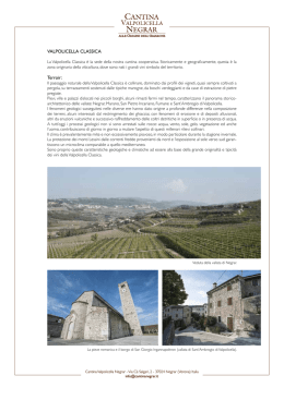 VALPOLICELLA CLASSICA Terroir: