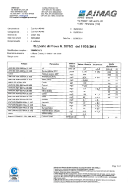 41037 MIRANDOLA (MO) TEL 0535 28111 FAX 0535