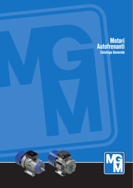 Motori Autofrenanti Motori Autofrenanti