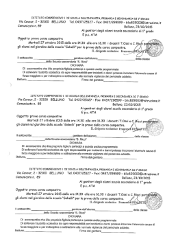 Via Cavour, 2 * 32100 BELLUNO Tel. 0437/25127