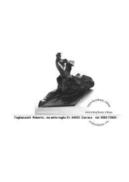 Tagliazucchi Roberto , via sette luglio 21, 54033 Carrara tel. 0585