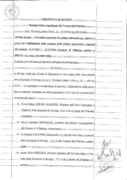 ______ via L. Ricchieri (detto Celio), 10 &mdash; 45100 Rovigo RO (Italia