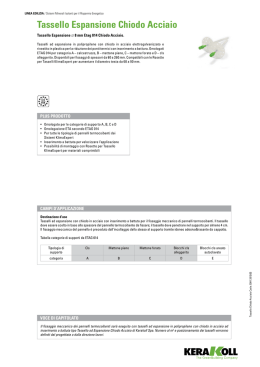 Tassello espansione Chiodo acciaio