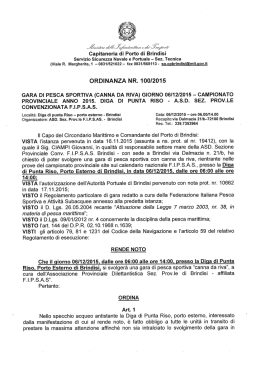 ORDINANZA NR. 100/2015
