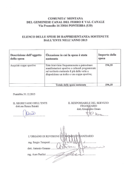 Spese di rappresentanza anno 2013 - Conto Consuntivo