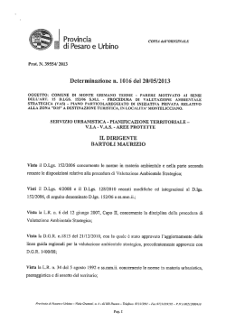D 15 Parere motivato determina n. 1016 del 20.05.2013