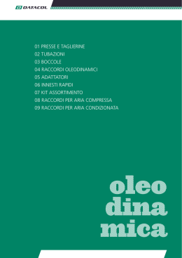 oleo dina mica - INFN Sezione di Ferrara