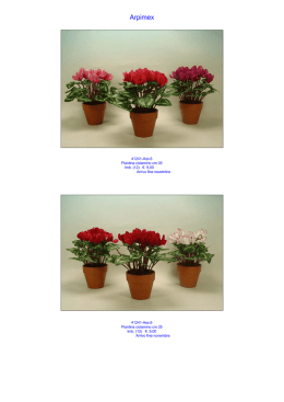 ThumbsPlus Pro Catalog