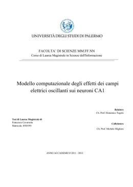 Modello computazionale degli effetti dei campi elettrici oscillanti sui