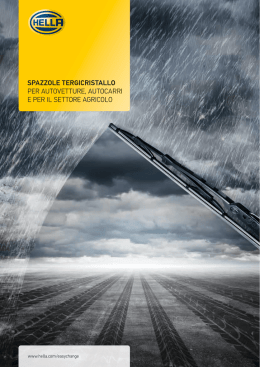 SPAZZOLE TERGICRISTALLO PER AUTOVETTURE