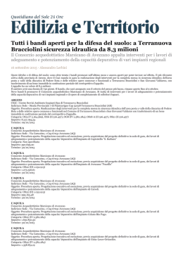 l`articolo in formato pdf