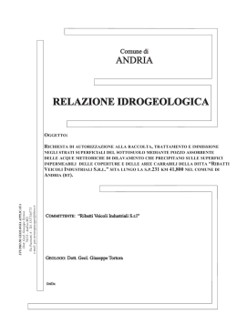 Relazione Idrogeologica RIBATTI VEICOLI INDUSTRIALI S.R.L