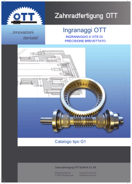 Zahnradfertigung OTT Ingranaggi OTT