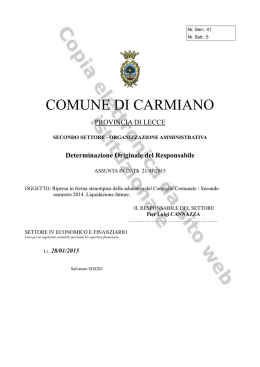 File: Det 2015 41 v1