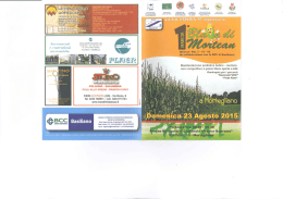 23 Agosto 2015 – Mortegliano Fiasp