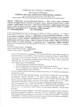 Verbale di aggiudicazione provvisoria affidamento servizi