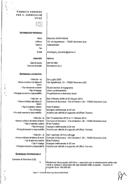 curriculum vitae ing. maurizio montagna