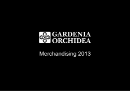 Merchandising 2013