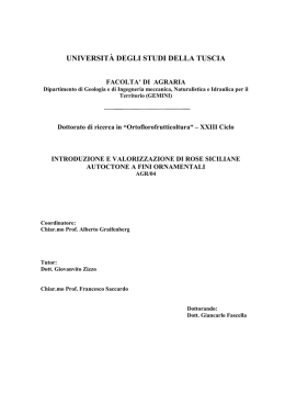 UNIVERSIT&Agrave; DEGLI STUDI DELLA TUSCIA