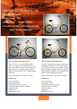 Ciclotecnica Ghiaroni Via della tecnica 600 41058 Vignola Mo www