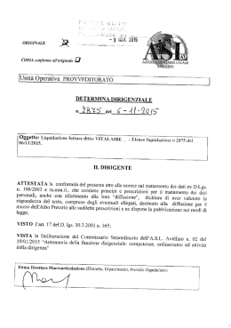 6733 10112015 PROVV 2875 DEL 2015 LIQUIDAZIONE FATTURE