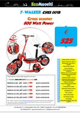 T- WALKER: CHES 001B Cross scooter 800 Watt Power