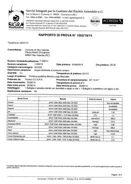 Rapporto n° 1002/19/2014