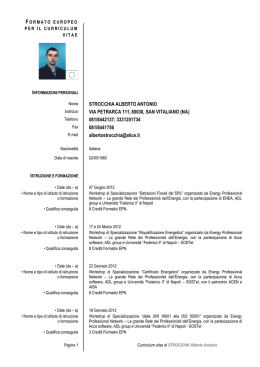 Ing. Antonio Alberto Strocchia