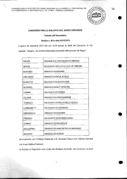 Scarica il file in formato pdf