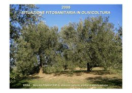 Situazione fitosanitaria in olivicoltura nel 2008