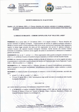 Decreto Sindacale n.33 del 05/11/2015