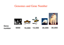 Gene number 6000 19,000 13,500 30,000 30,000