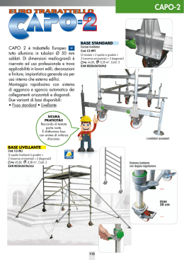 Scheda Capo 2