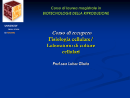 LEZ REC prof Gioia Lab ColtCell Strumentazione - E