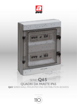 SERIE Q65 QUADRI DA PARETE IP65