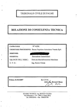TRIBUNALE CIVILE DI PALMI