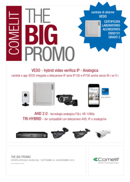 VEDO - hybrid video verifica IP